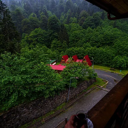 Kackar Resort Hotel Ayder Yaylasi Zewnętrze zdjęcie